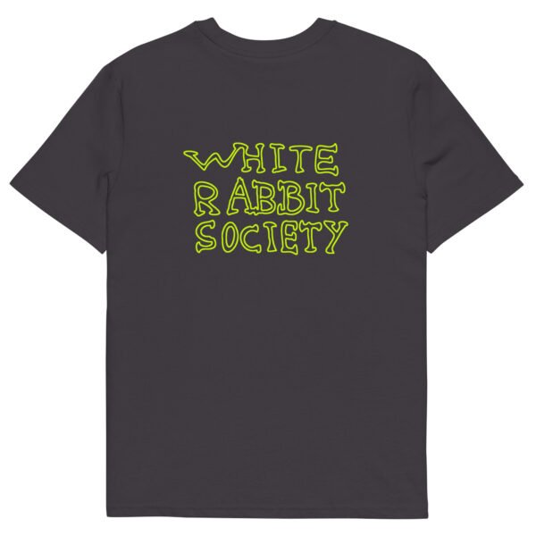 Rabbit Skull - Image 6